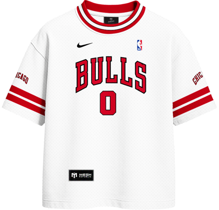 Air Bulls Customized